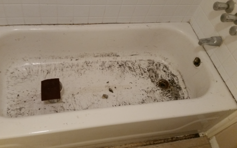 Understanding the Causes Bath Fitter Mold Issues 
