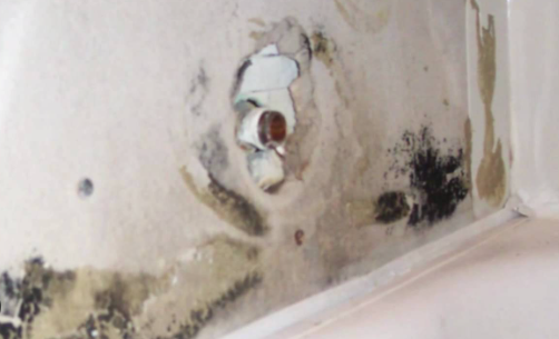 Prevention Strategies to Avoid Mold Growth