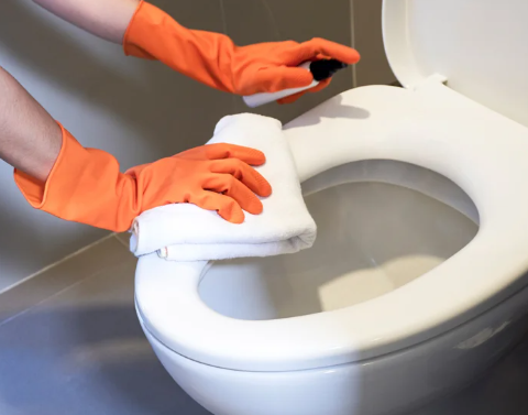 How to Clean and Prevent Black Residue On Toilet Seats