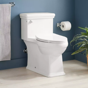 Pros and Cons of Skirted Toilets