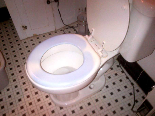 Dealing with Purple Stains on Your Toilet Seat