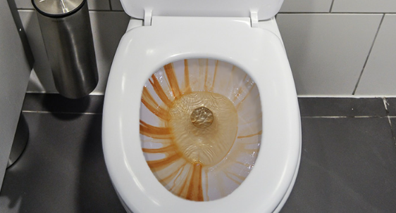 How to Remove Orange Ring in Toilet Bowl