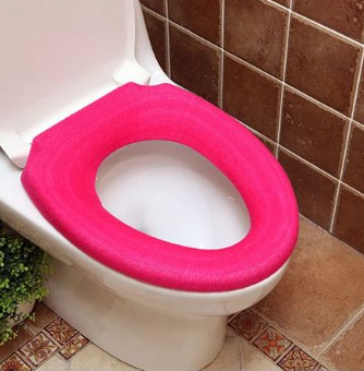 Can Toilet Seats Be Painted