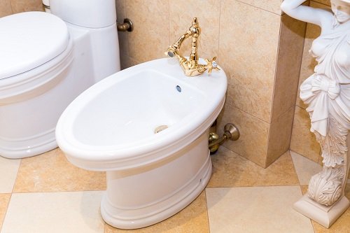 Why Does My Bidet Smell? Common Causes and Solutions