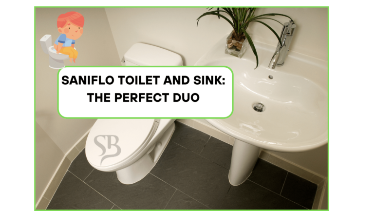 Saniflo Toilet and Sink: The Perfect Duo
