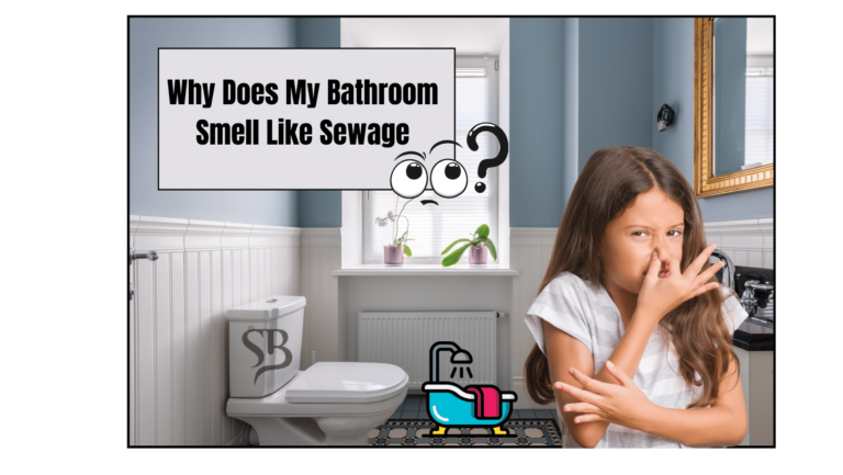 Why Does My Bathroom Smell Like Sewage 