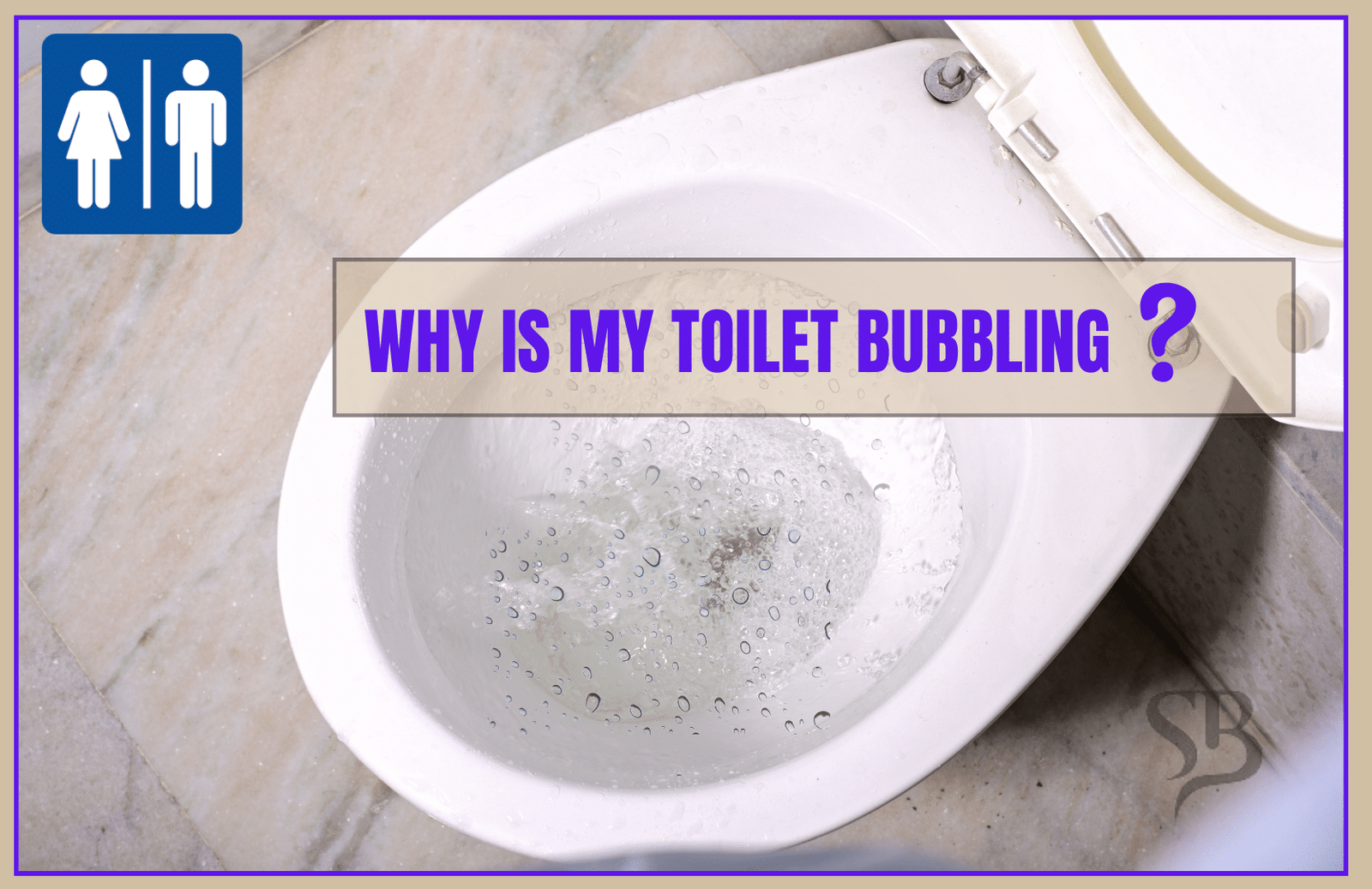 Toilet Bubbling